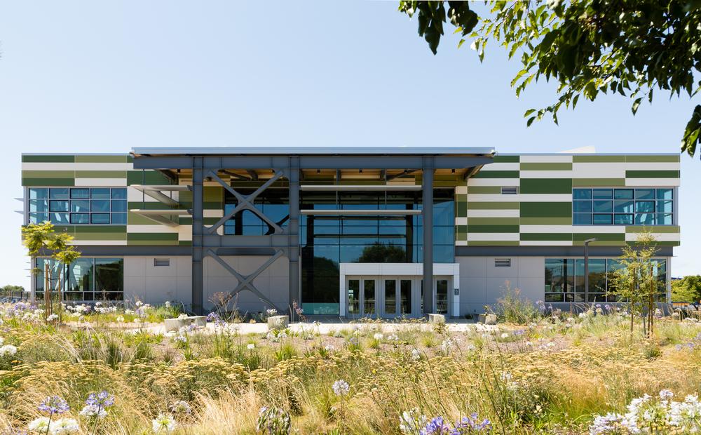 A faraway shot of Mount Eden High School utilizing Nichiha&rsquo;s fiber cement cladding in white and two different shades of green. There&rsquo;s a field of flowers in front of the building.