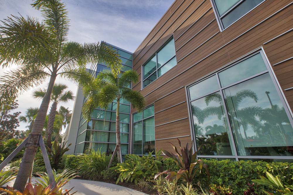 Florida building with beautiful palm trees and other plants along the sidewalk
